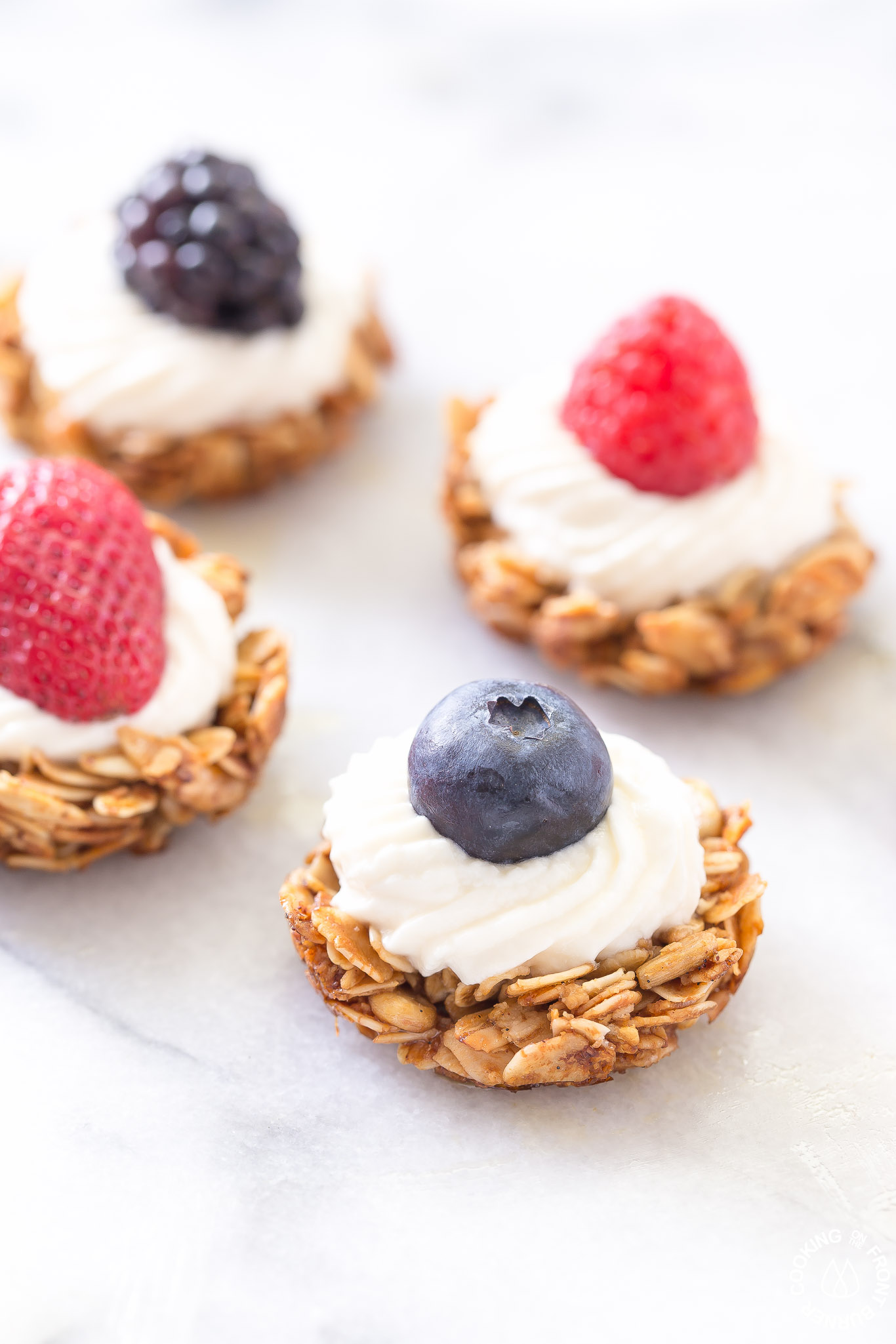 Fruit Yogurt Granola Bites Cooking on the Front Burner