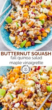 Butternut Squash Apple Quinoa Salad | Cooking on the Front Burner